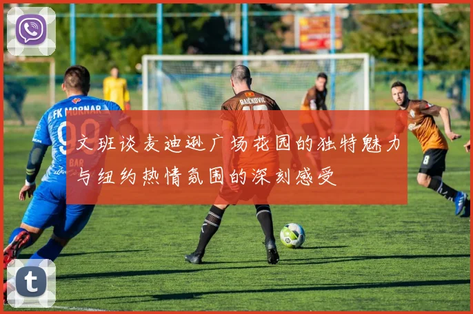 文班谈麦迪逊广场花园的独特魅力与纽约热情氛围的深刻感受